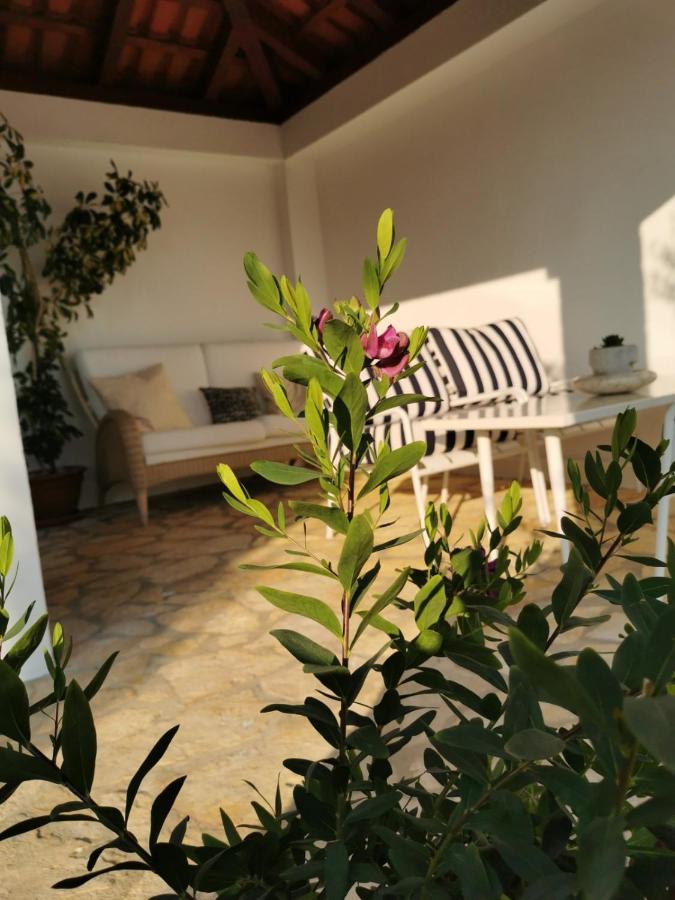 Sunset Apartment Orašac Extérieur photo